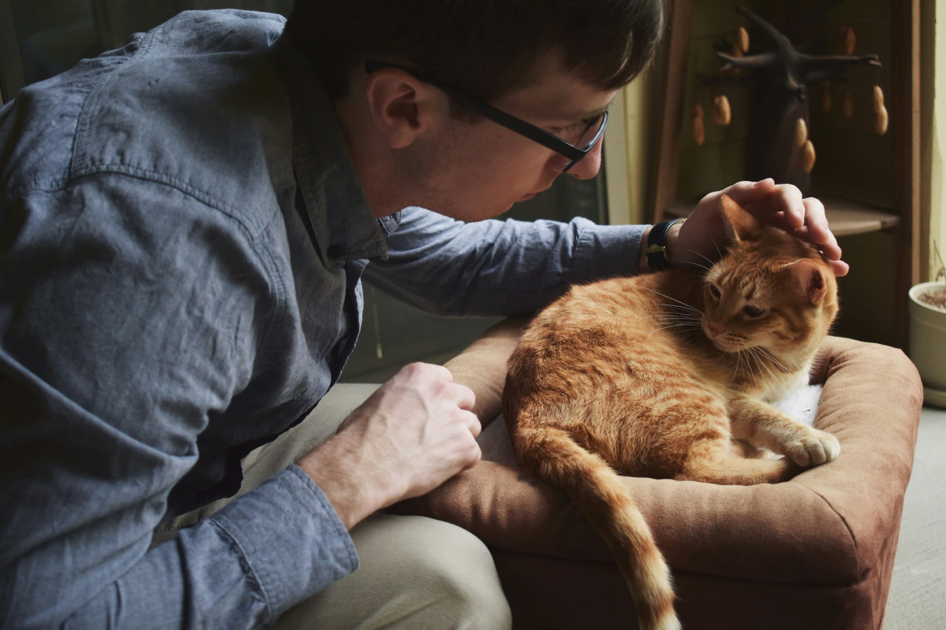 Un adoptant avec son chat