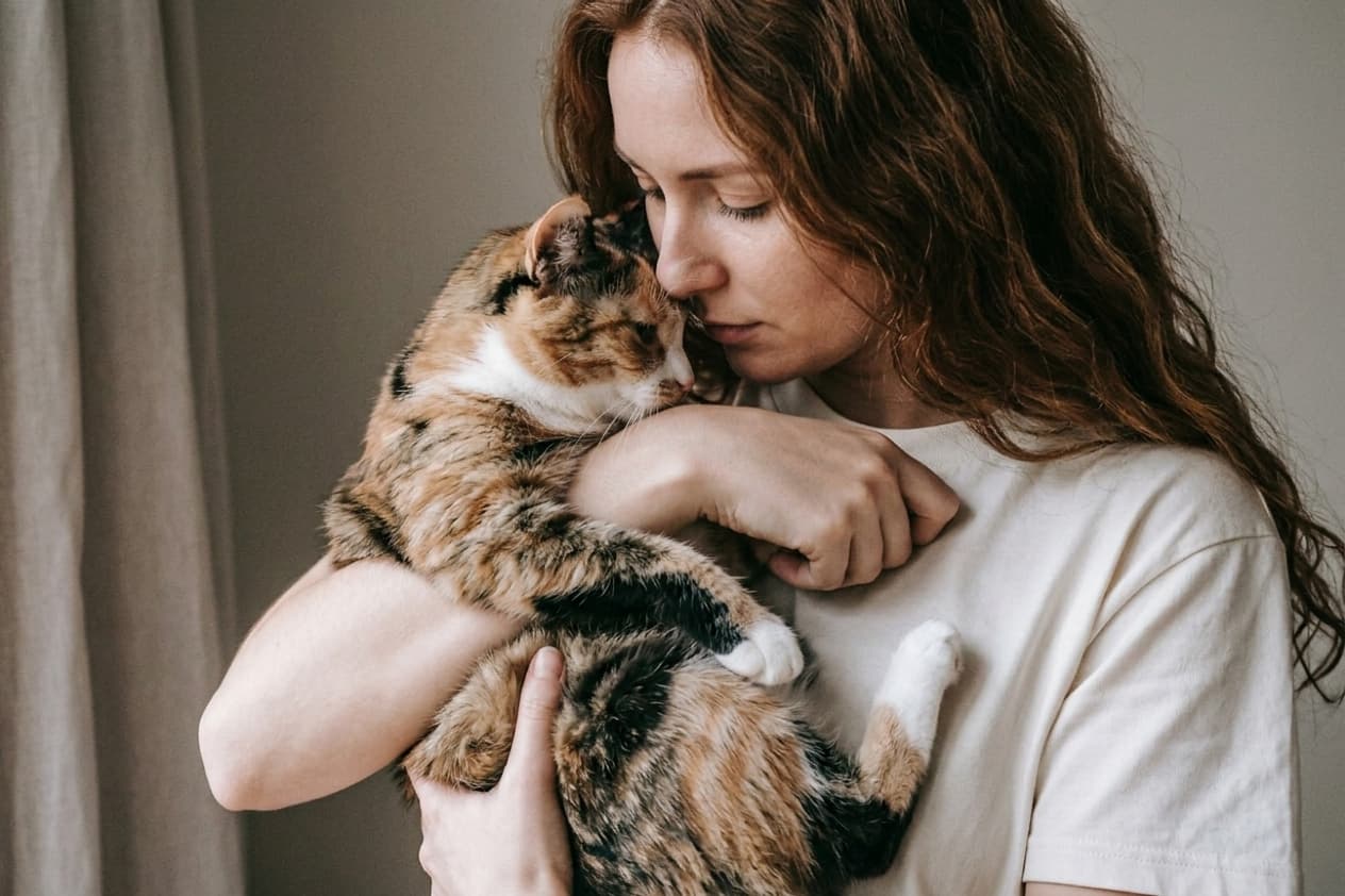 Chat en refuge ou association