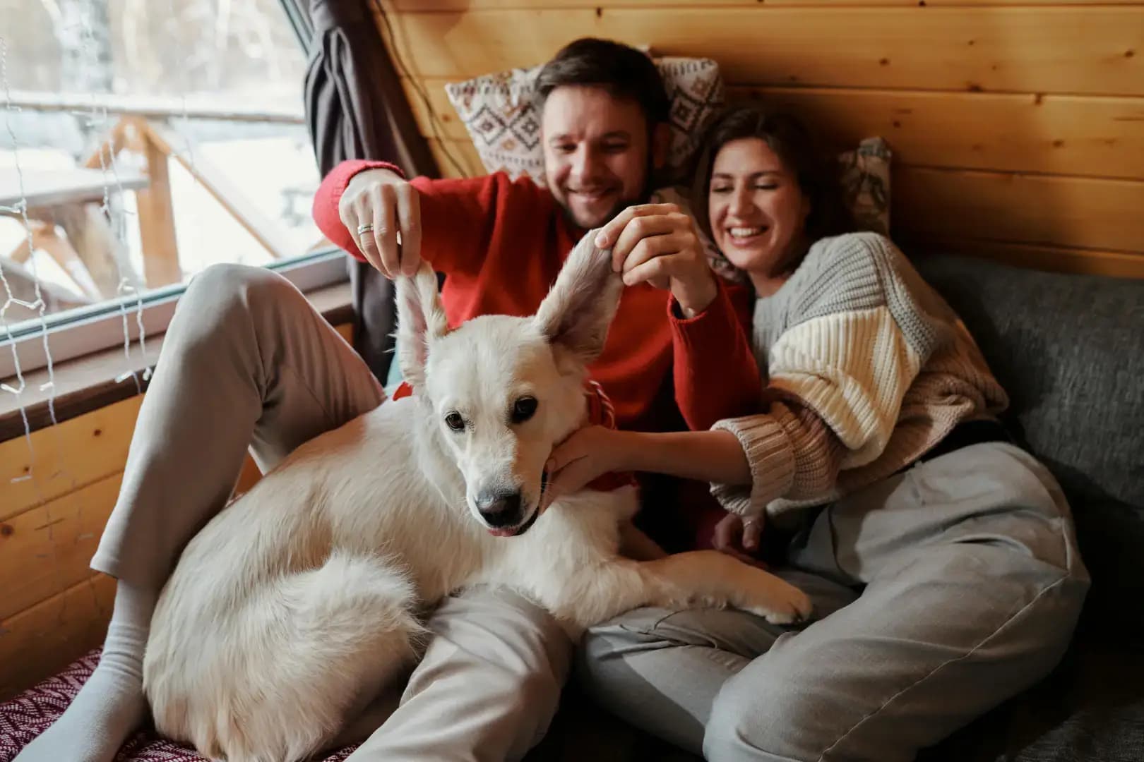 Moment d'adoption : future famille et animal