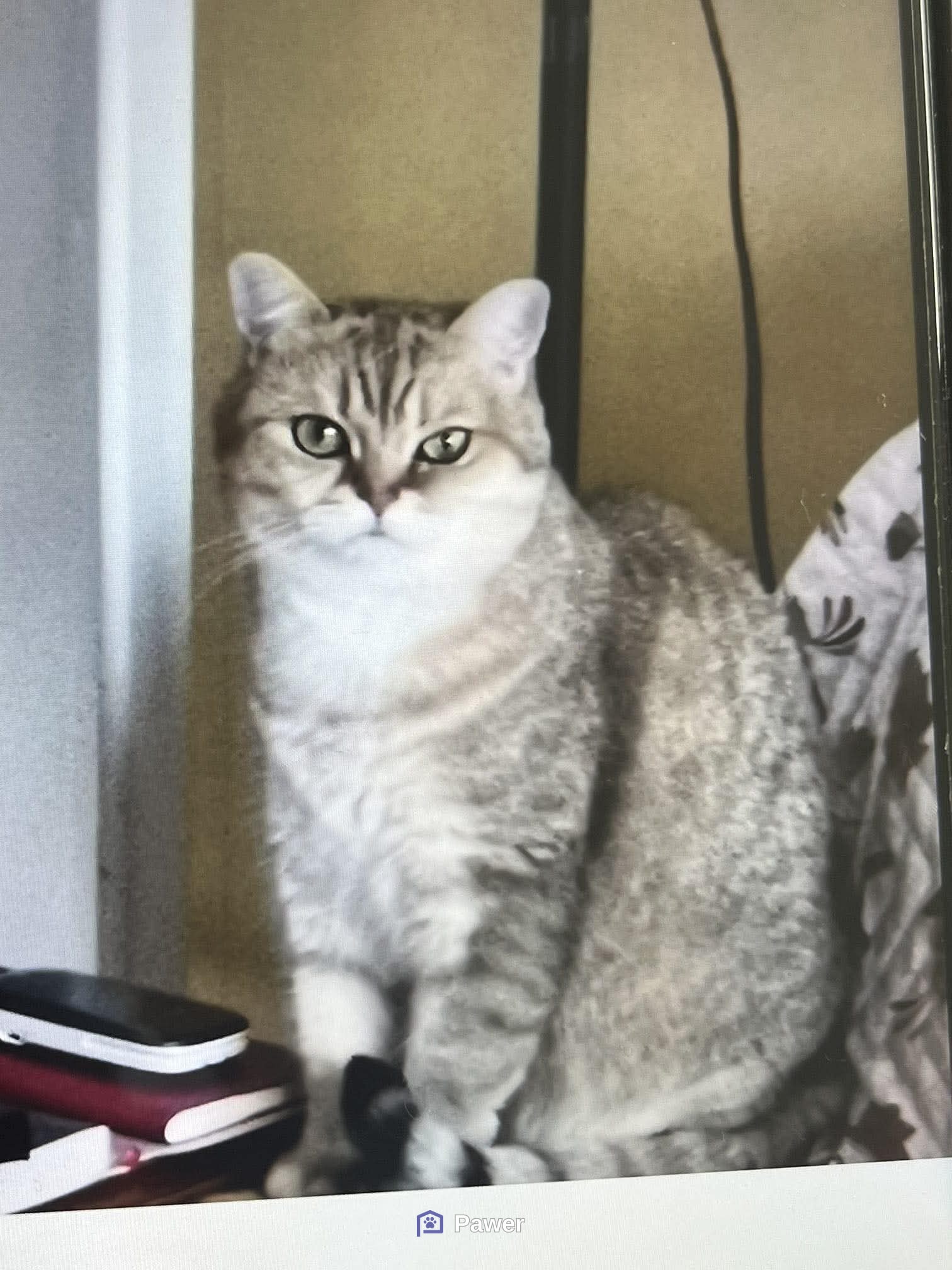 Nina
