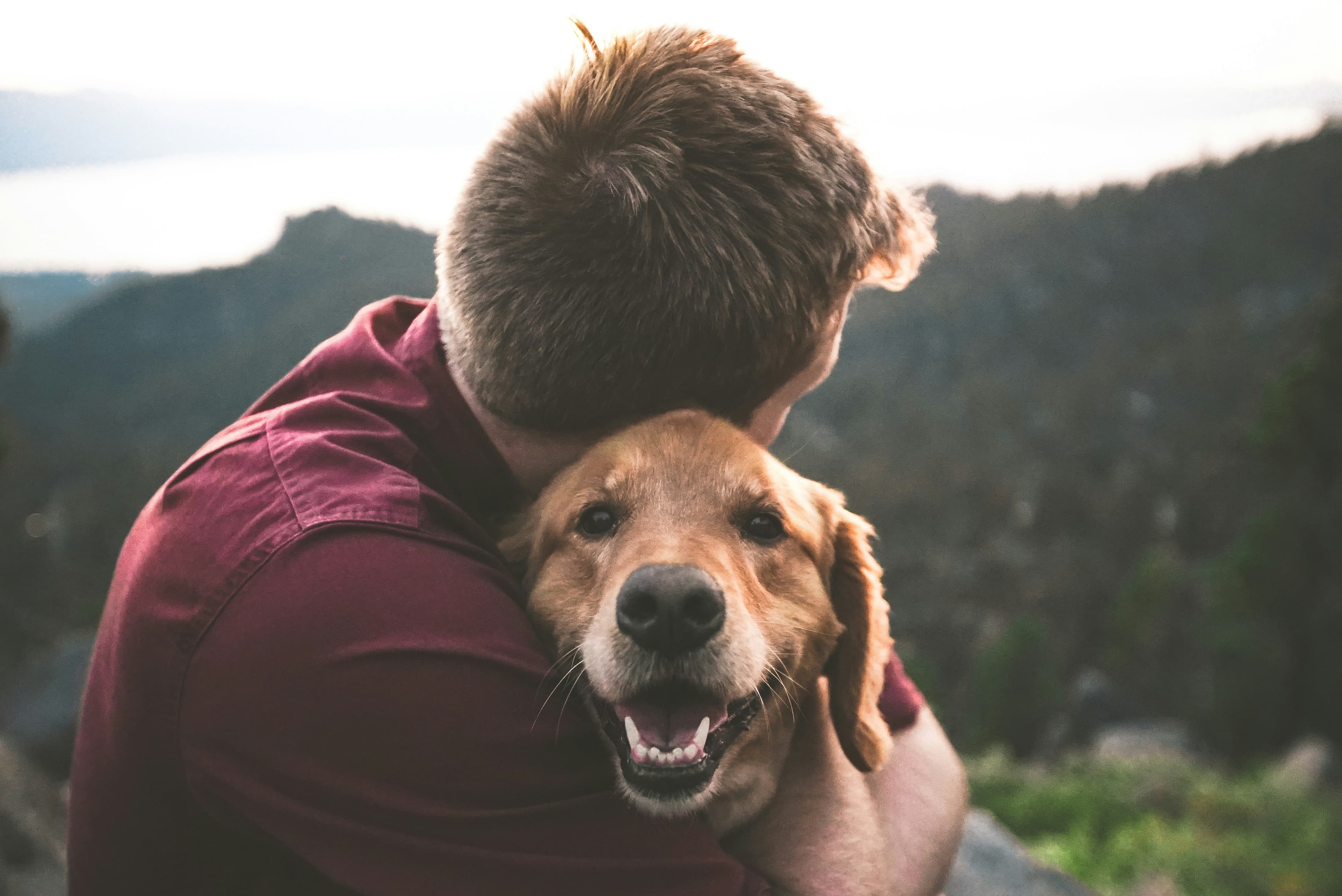 Un adoptante con su perro